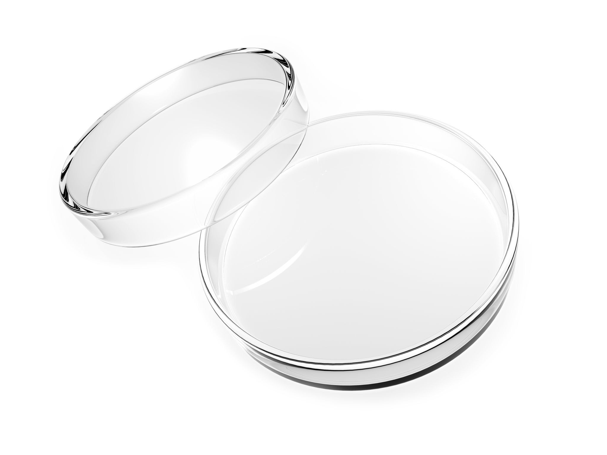 Petri Dish