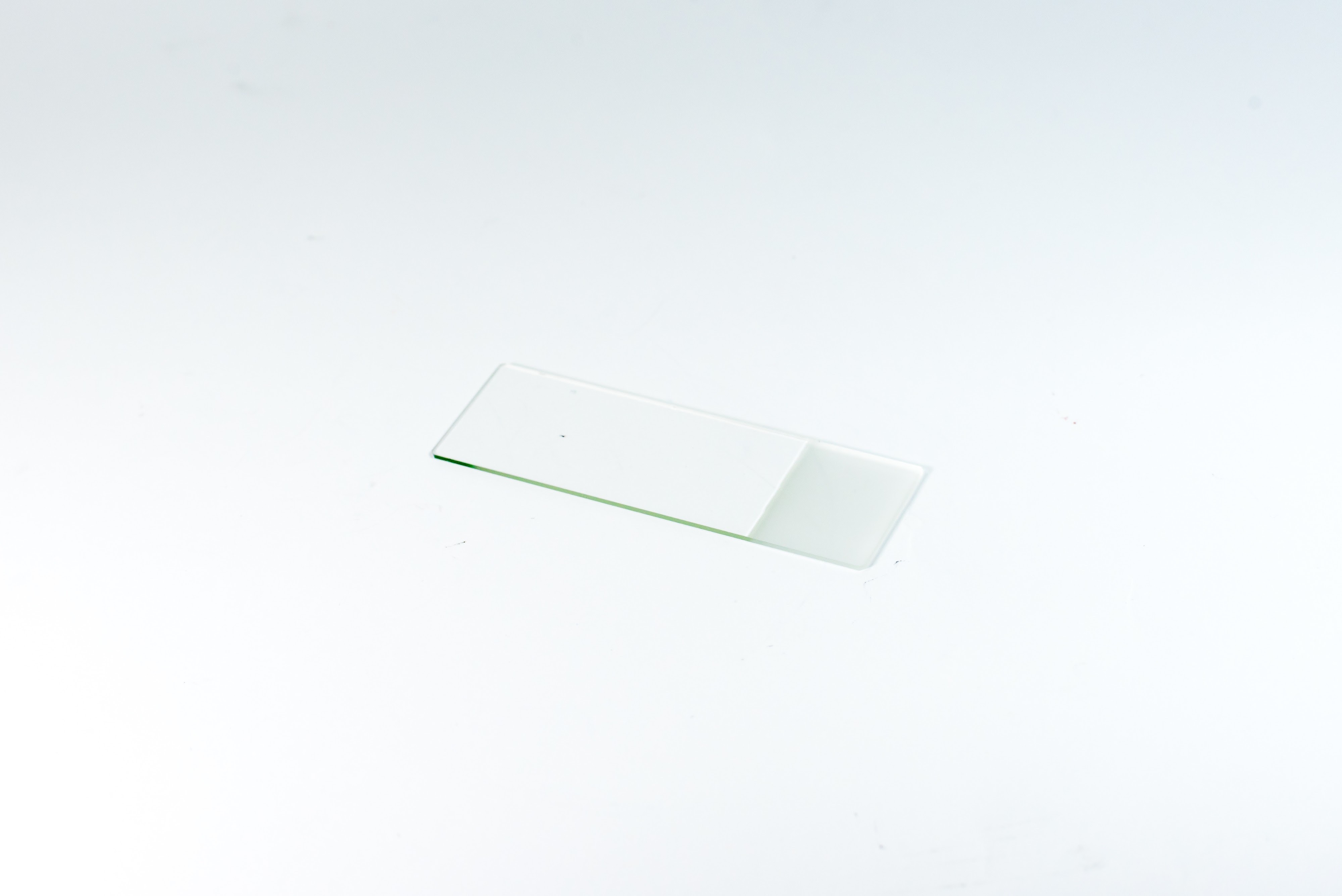 Microscope Slide